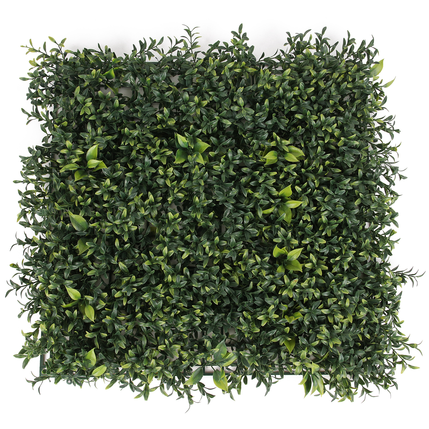 Supergreens Τεχνητή Φυλλωσιά Ρούσκος 50x50 εκ. Supergreens Τεχνητή Φυλλωσιά Ρούσκος 50x50 εκ.