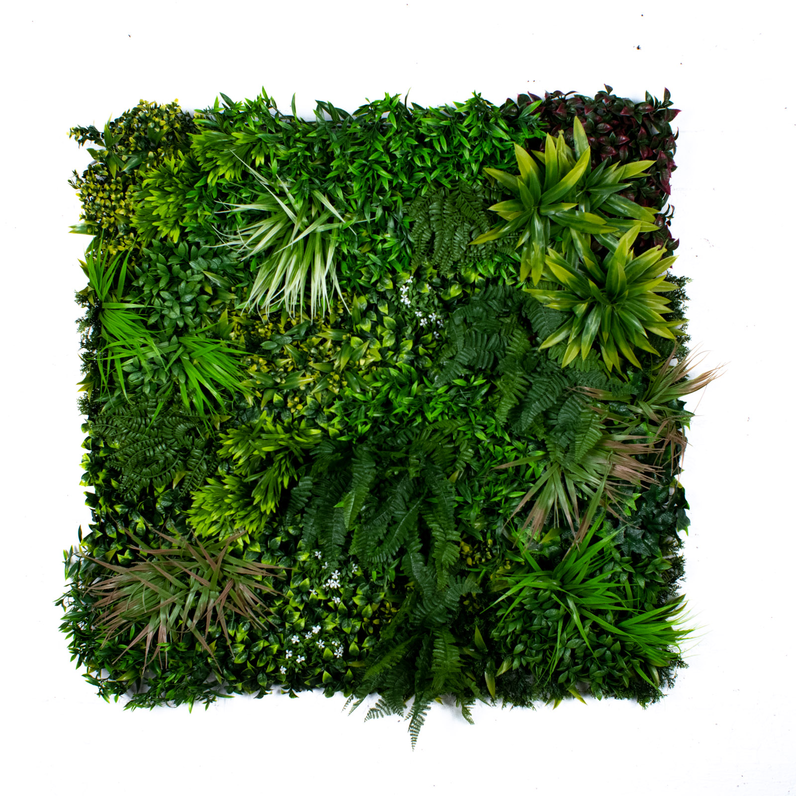 Supergreens Τεχνητή Φυλλωσιά Φτέρη Supergreens Τεχνητή Φυλλωσιά Φτέρη