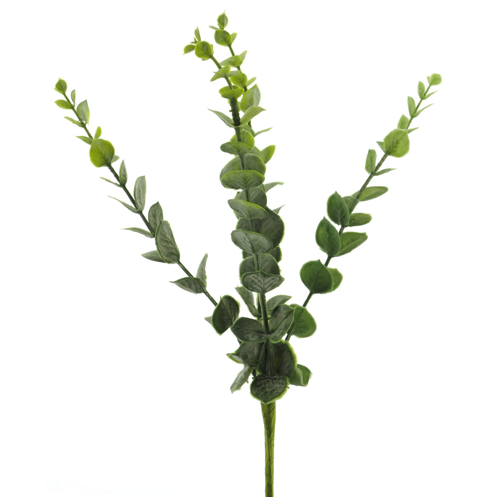 Supergreens Τεχνητό Φύλλο Ευκάλυπτος 36 εκ. Supergreens Τεχνητό Φύλλο Ευκάλυπτος 36 εκ.