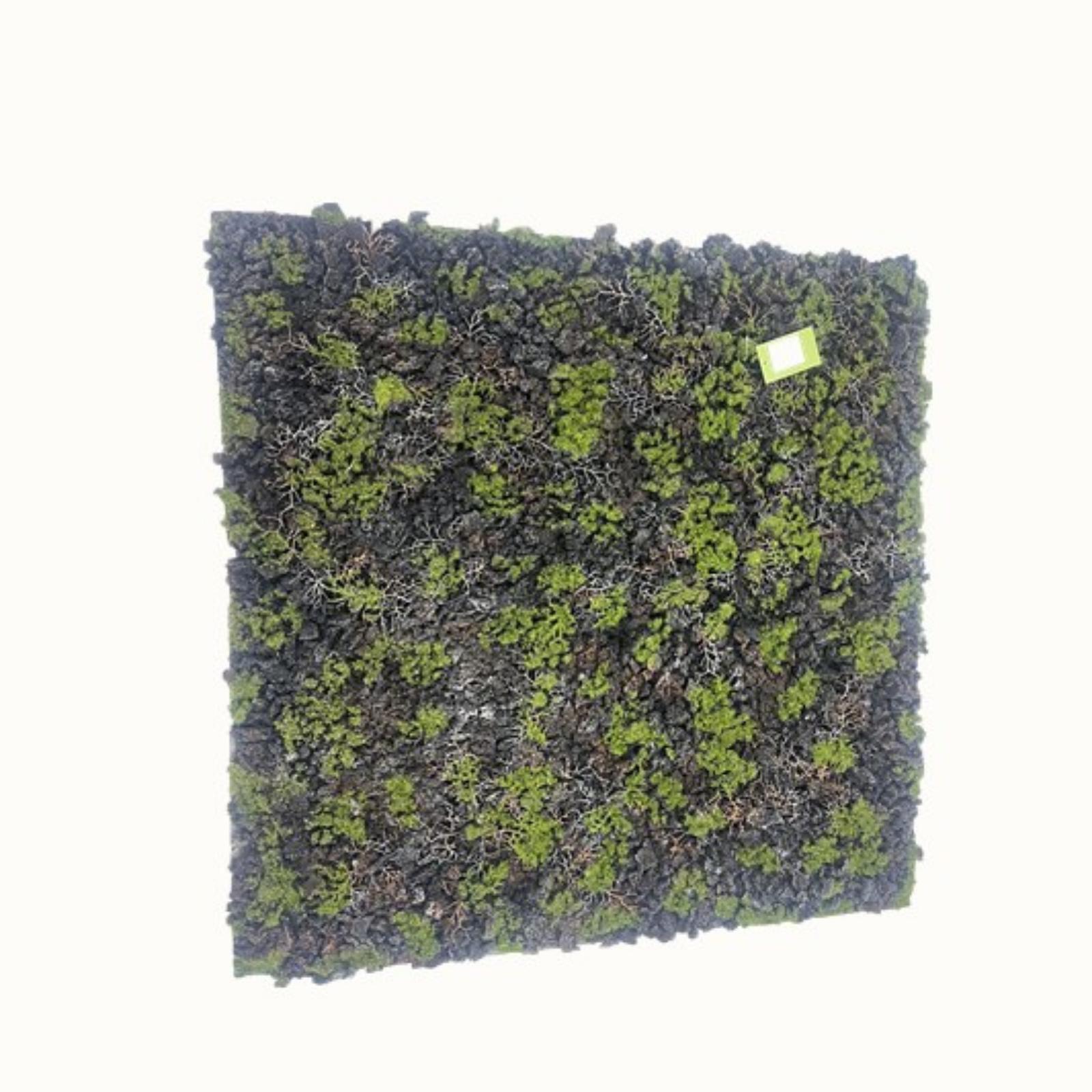 Τεχνητή Φυλλωσιά Moss "Gladonia" Πράσινο με Μαύρο 100x100 εκ.