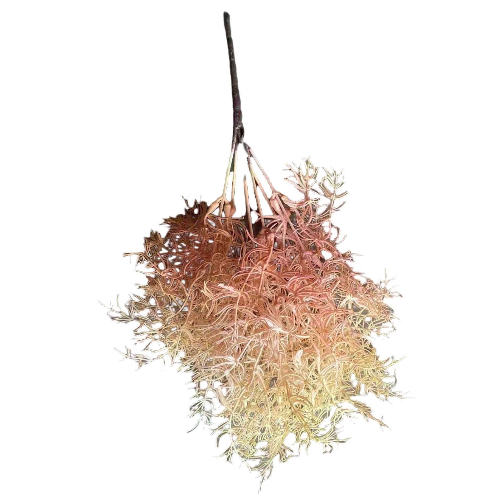 Τεχνητό Χωνευτό Αγριόχορτο Salsosa Soda "Blush Grass" Ροζ 38 εκ.