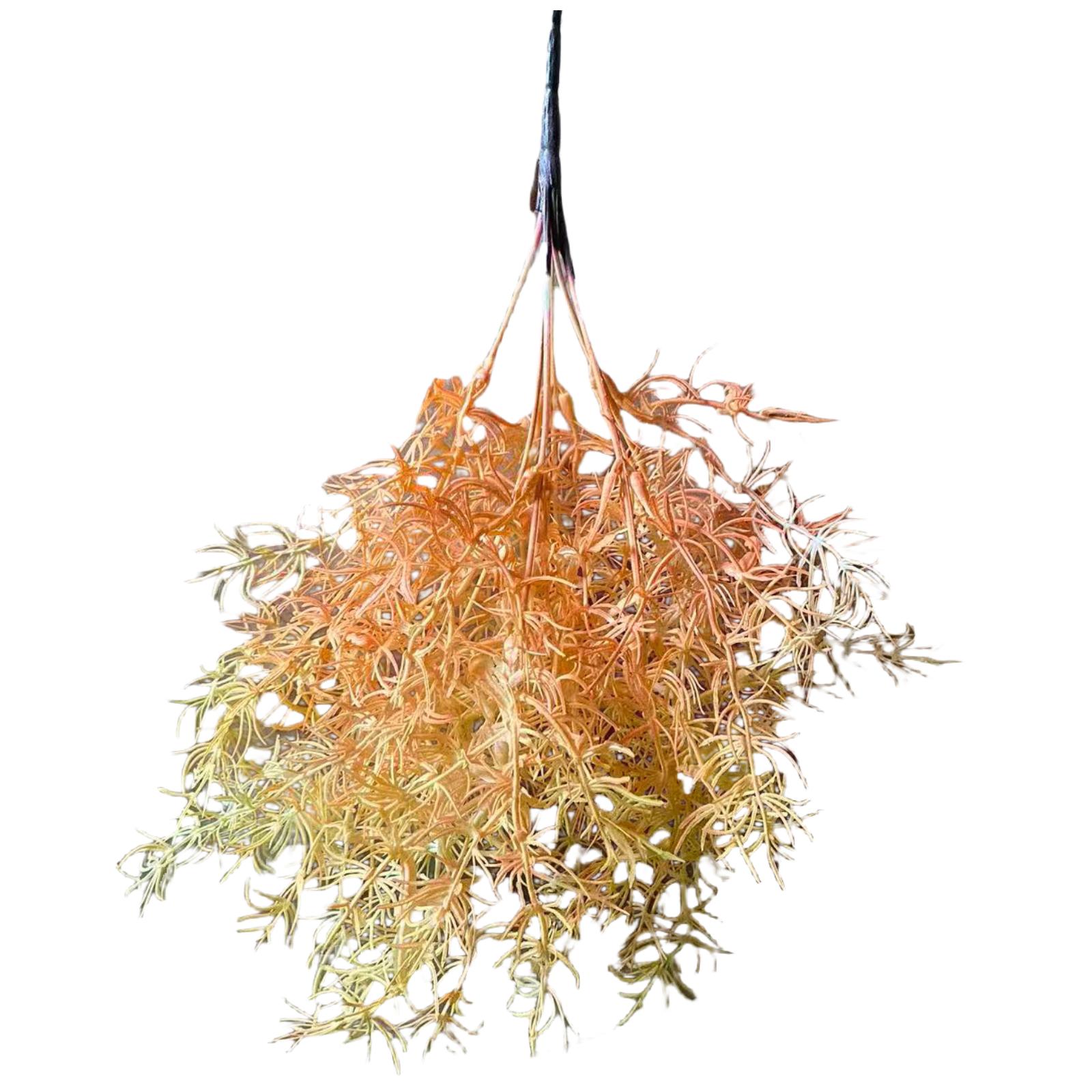 Τεχνητό Χωνευτό Αγριόχορτο Salsosa Soda "Ivory Grass" Εκρού 38 εκ.