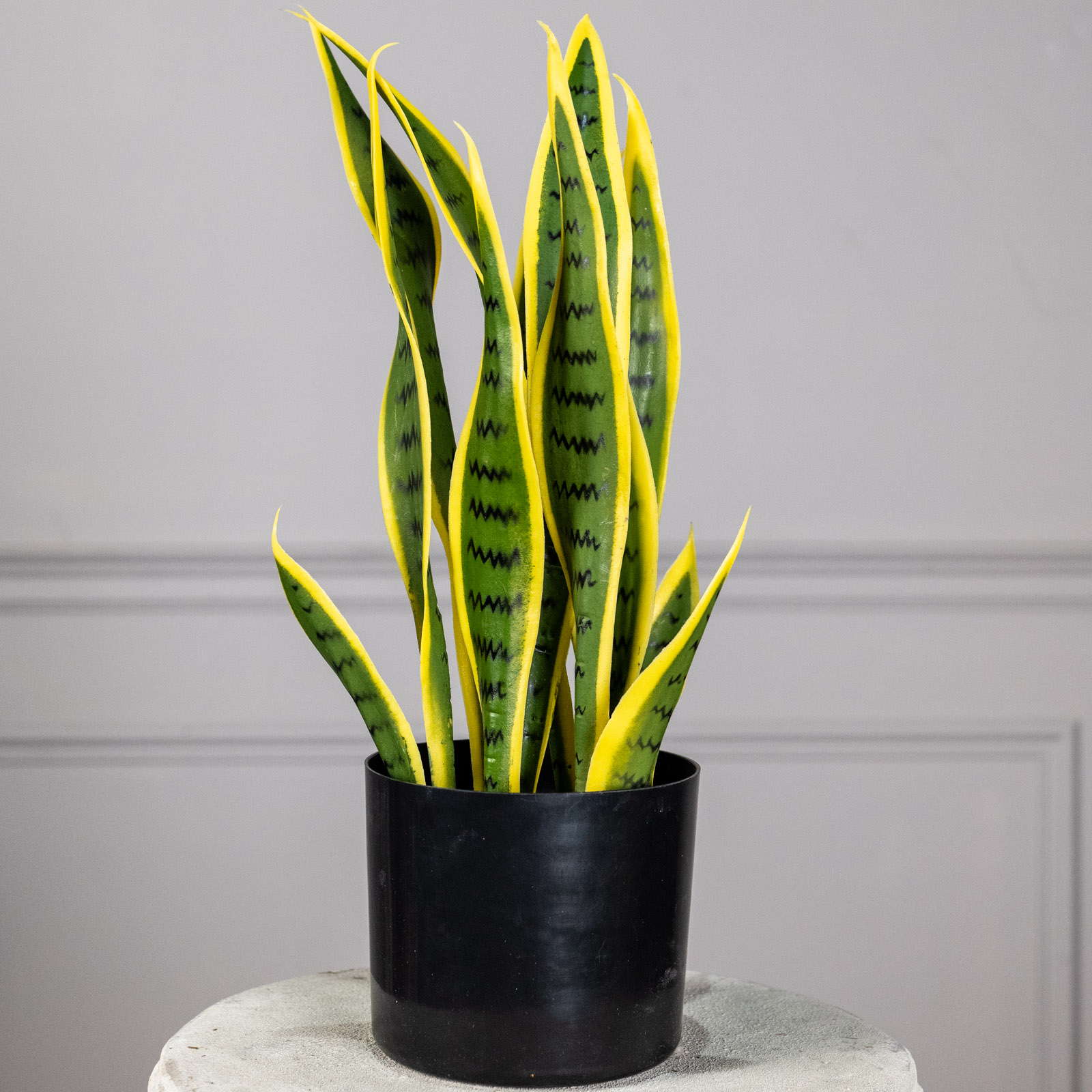 Supergreens Τεχνητό Φυτό Σανσεβιέρα Trifasciata Πράσινο 45 εκ. Supergreens Τεχνητό Φυτό Σανσεβιέρα Trifasciata Πράσινο 45 εκ.