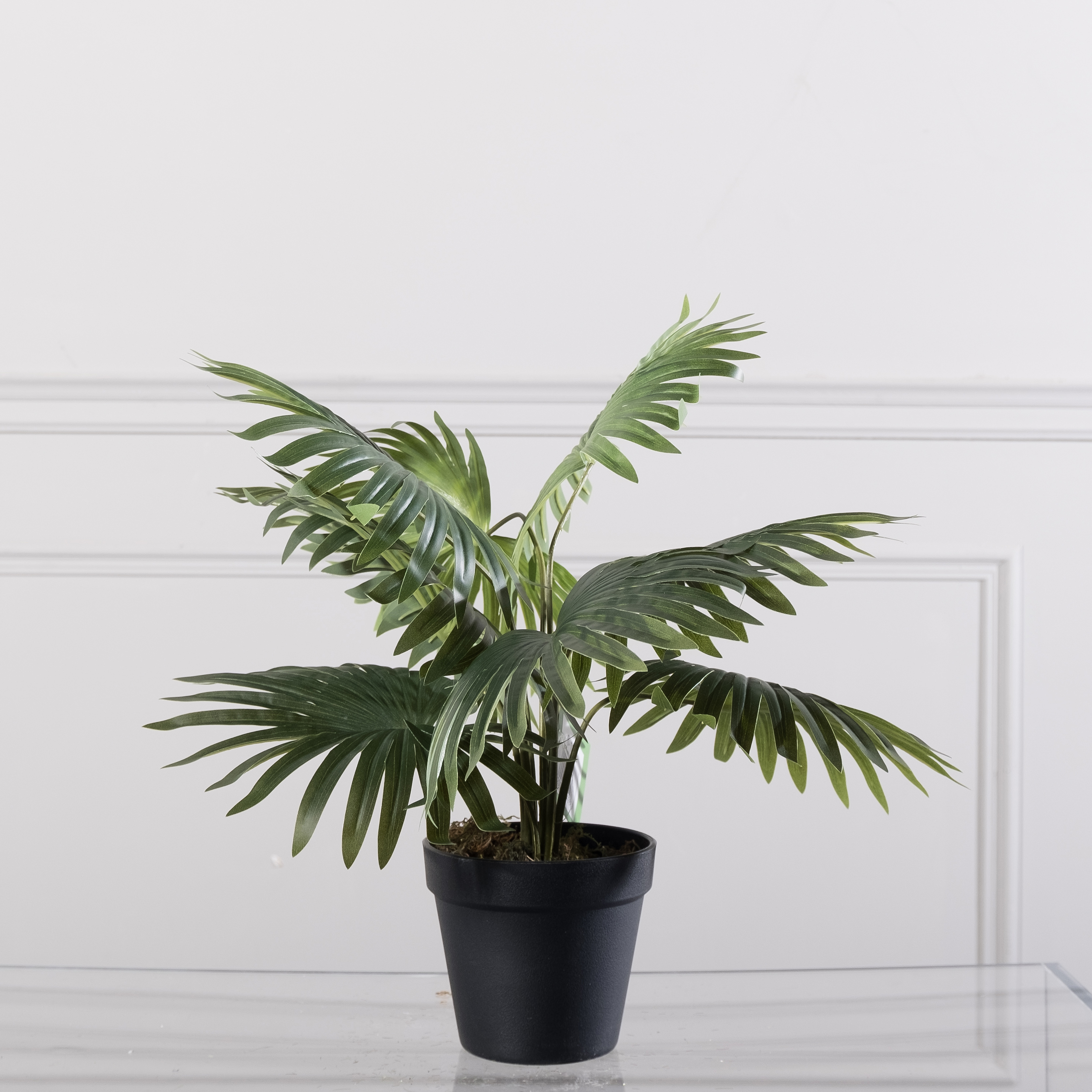 Supergreens Τεχνητό Φυτό Φοίνικας Washingtonia Πράσινο 48 εκ. Supergreens Τεχνητό Φυτό Φοίνικας Washingtonia Πράσινο 48 εκ.