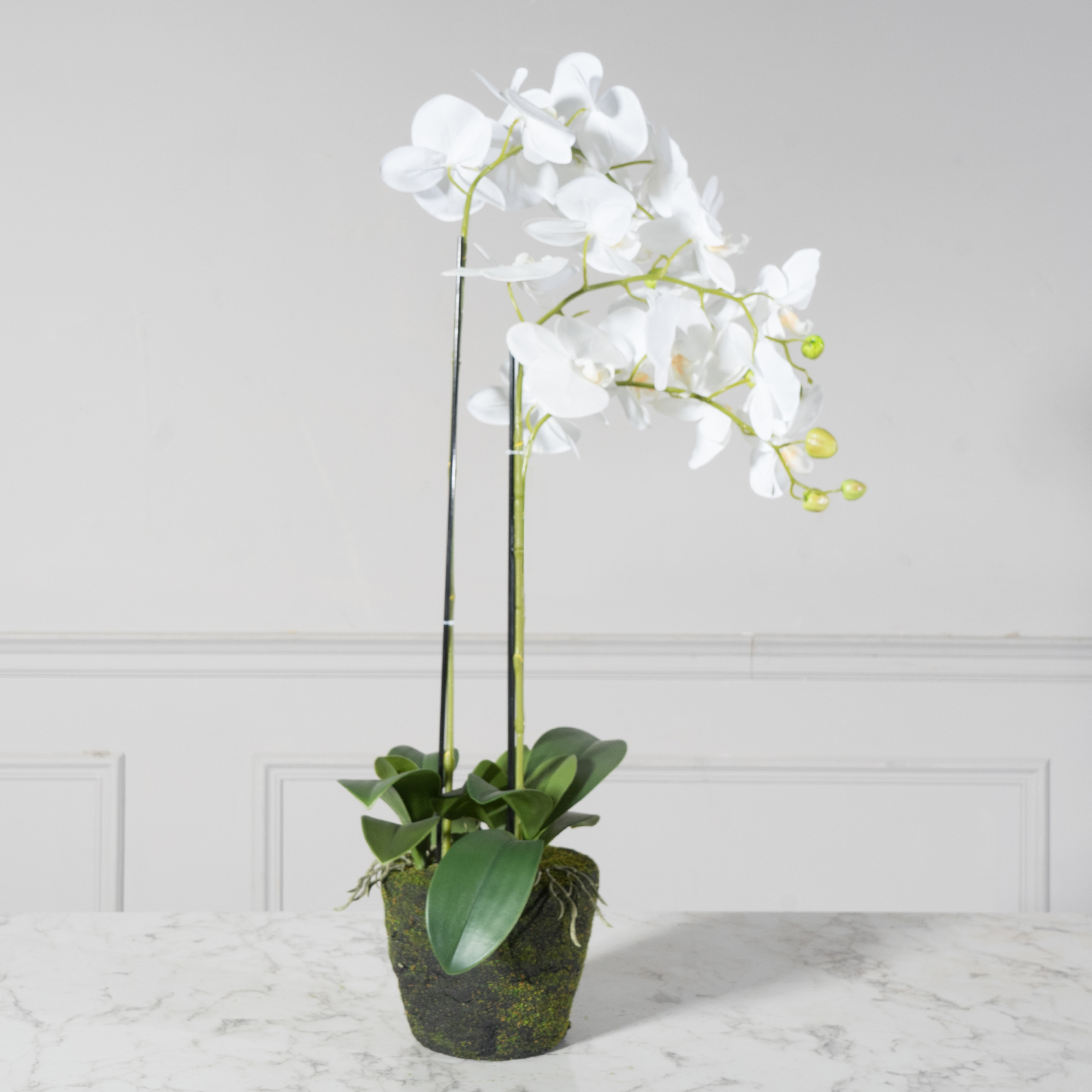 Τεχνητό Φυτό Ορχιδέα Phalaenopsis Λευκό 67 εκ.