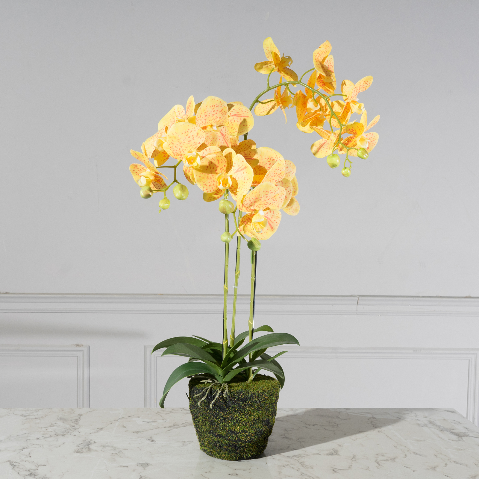 Τεχνητό Φυτό Ορχιδέα Phalaenopsis Κίτρινο 80 εκ.
