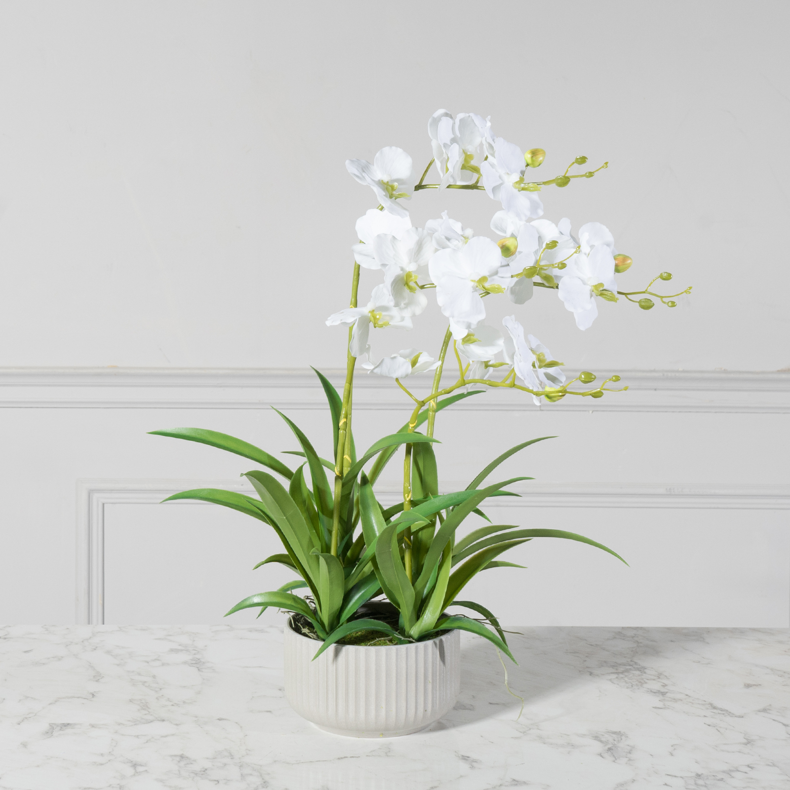 Τεχνητό Φυτό Ορχιδέα Phalaenopsis Λευκό 60 εκ.