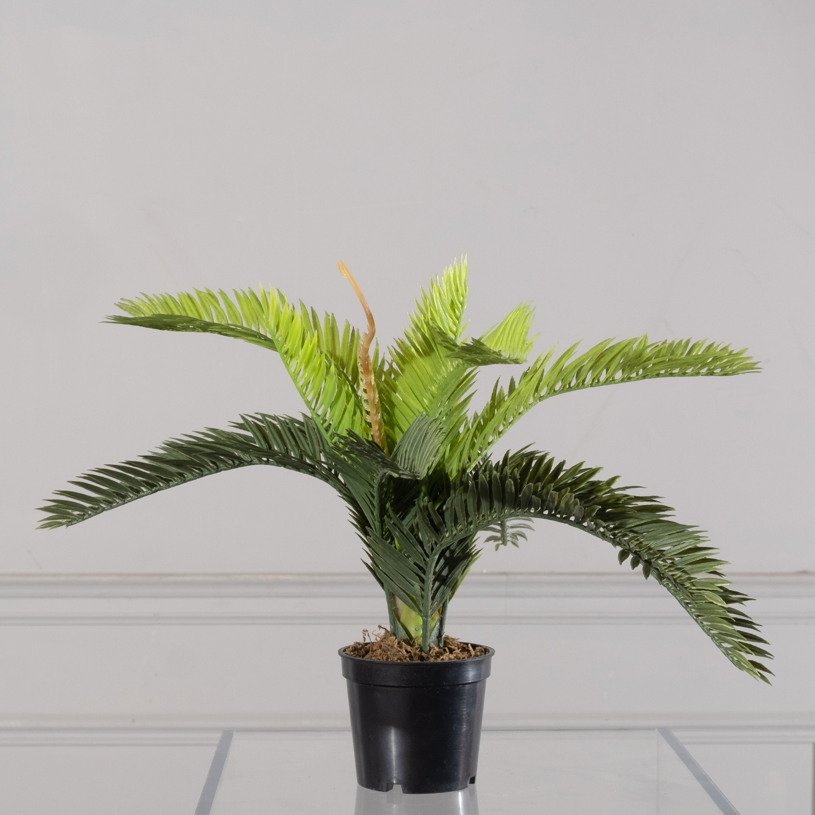 Τεχνητό Φυτό Φοινικόθαμνος "Cycas" Πράσινο 25 εκ.