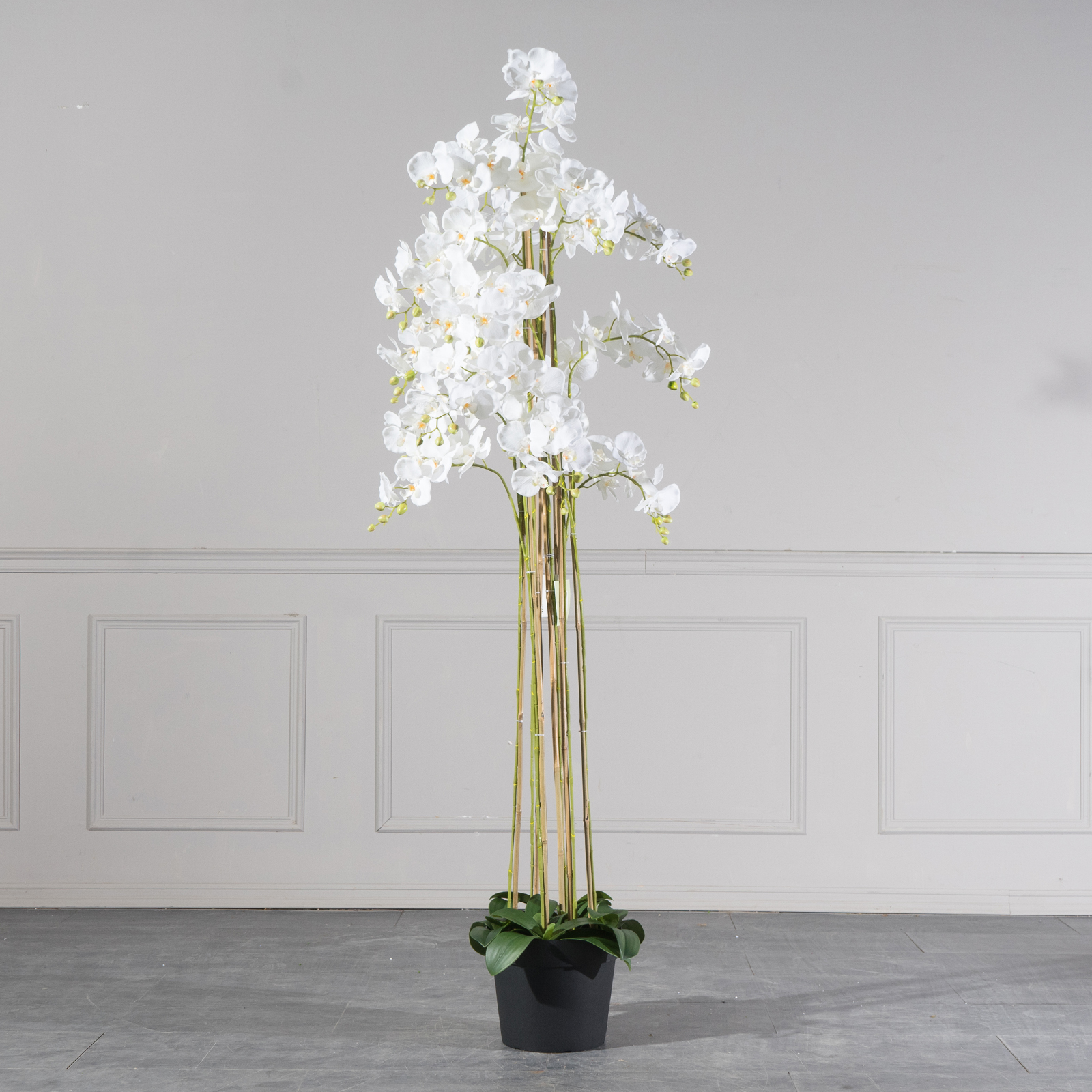 Supergreens Τεχνητό Φυτό Ορχιδέα Phalaenopsis Λευκό 180 εκ. Supergreens Τεχνητό Φυτό Ορχιδέα Phalaenopsis Λευκό 180 εκ.