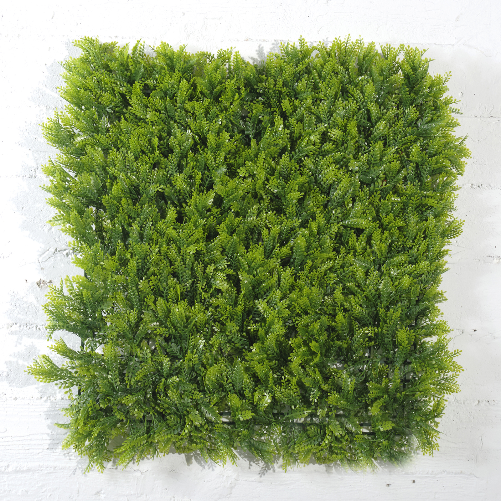 Supergreens Τεχνητή Φυλλωσιά Φτέρη Maidenhair 50x50 εκ. Supergreens Τεχνητή Φυλλωσιά Φτέρη Maidenhair 50x50 εκ.