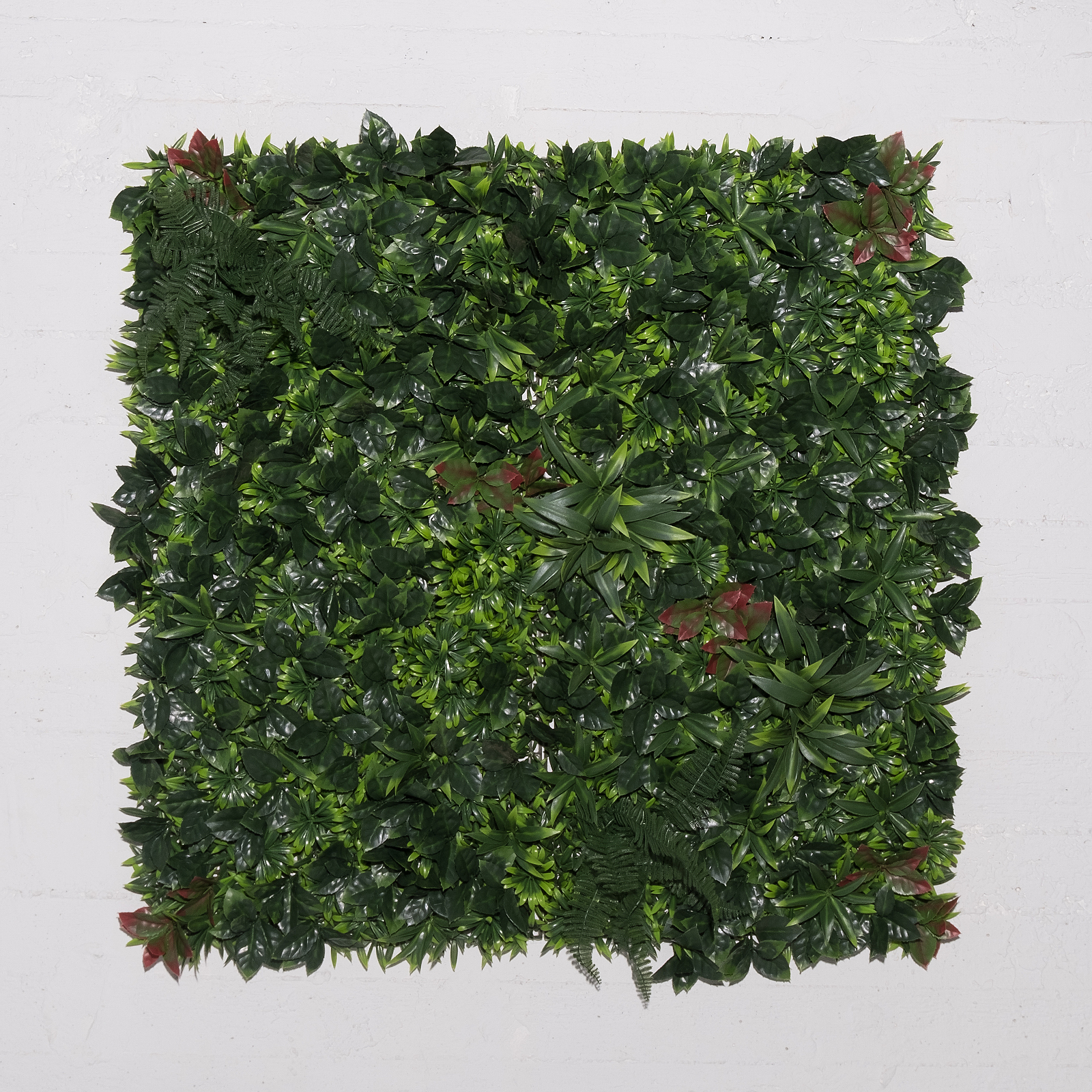Supergreens Τεχνητή Φυλλωσιά Φίκος με Φτέρη Δίχρωμη 100x100 εκ. Supergreens Τεχνητή Φυλλωσιά Φίκος με Φτέρη Δίχρωμη 100x100 εκ.