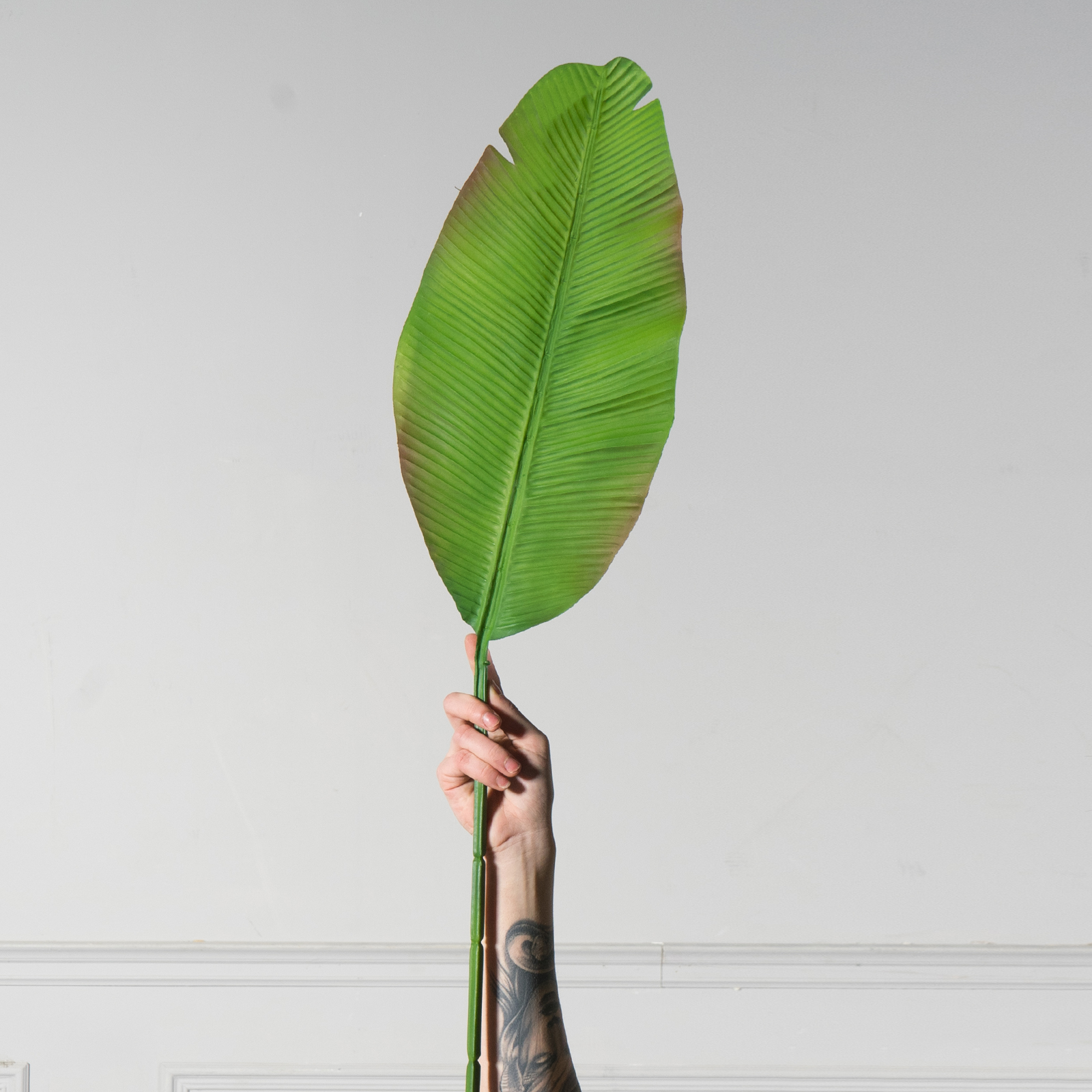Supergreens Τεχνητό Φύλλο Πουλί του Παραδείσου Supergreens Τεχνητό Φύλλο Πουλί του Παραδείσου