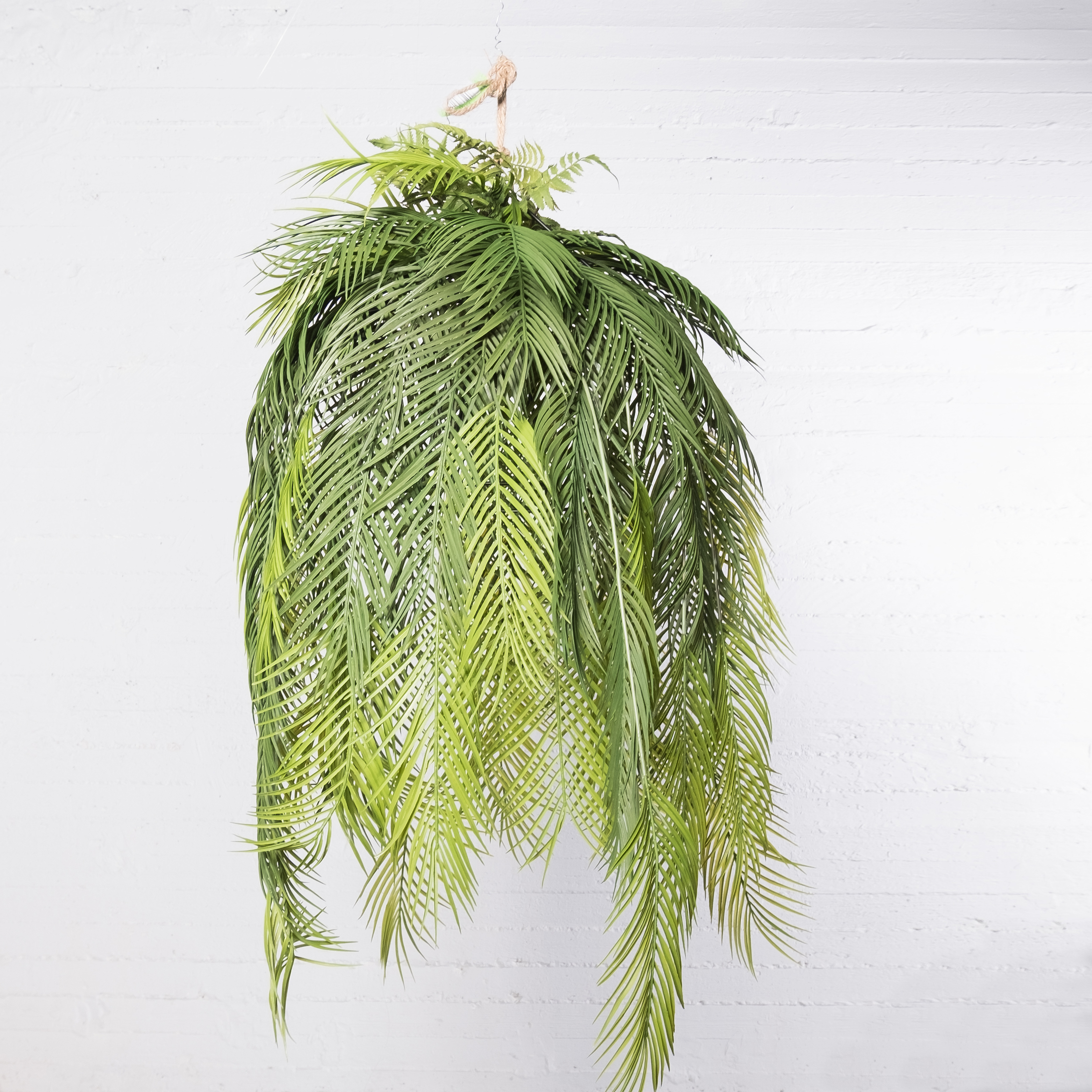 Supergreens Τεχνητή Κρεμαστή Ρίζα/Φωτιστικό Αρέκα Supergreens Τεχνητή Κρεμαστή Ρίζα/Φωτιστικό Αρέκα