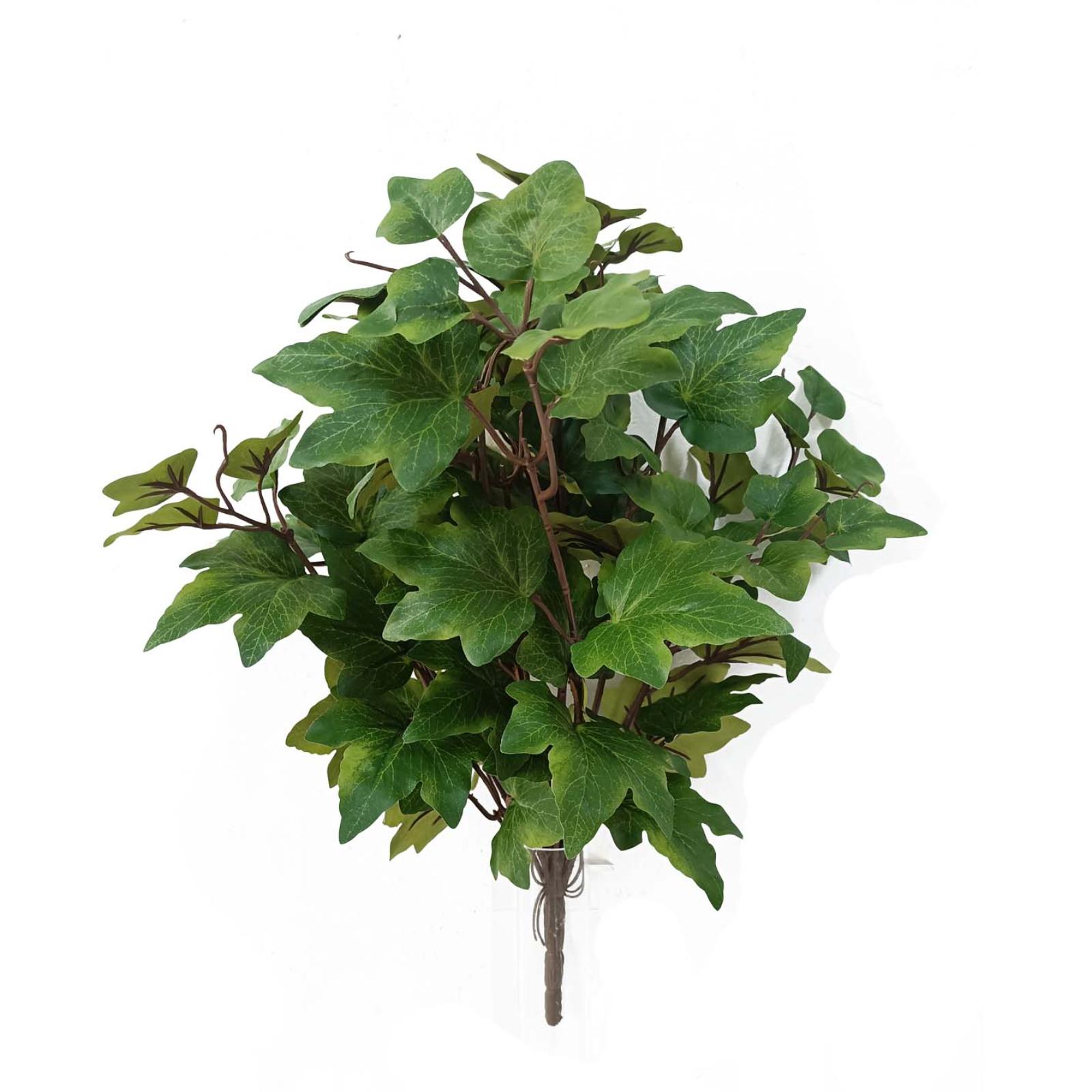 Supergreens Τεχνητός Χωνευτός Κισσός Supergreens Τεχνητός Χωνευτός Κισσός