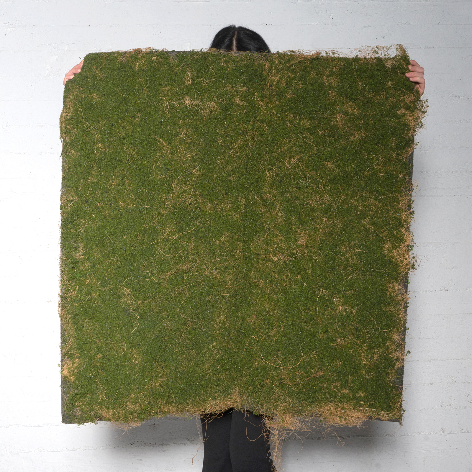 Τεχνητή Φυλλωσιά Moss Πράσινη 100x100 εκ.