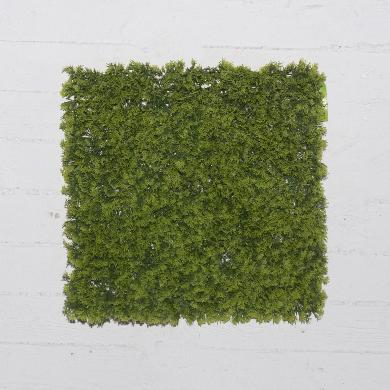 Supergreens Τεχνητή Φυλλωσιά Φτέρη Supergreens Τεχνητή Φυλλωσιά Φτέρη
