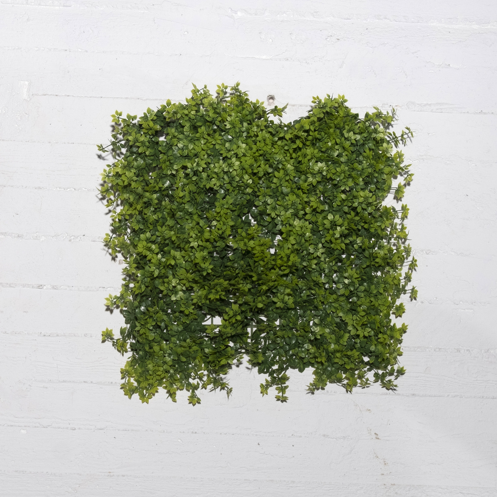 Supergreens Τεχνητή Φυλλωσιά Φτέρη Supergreens Τεχνητή Φυλλωσιά Φτέρη