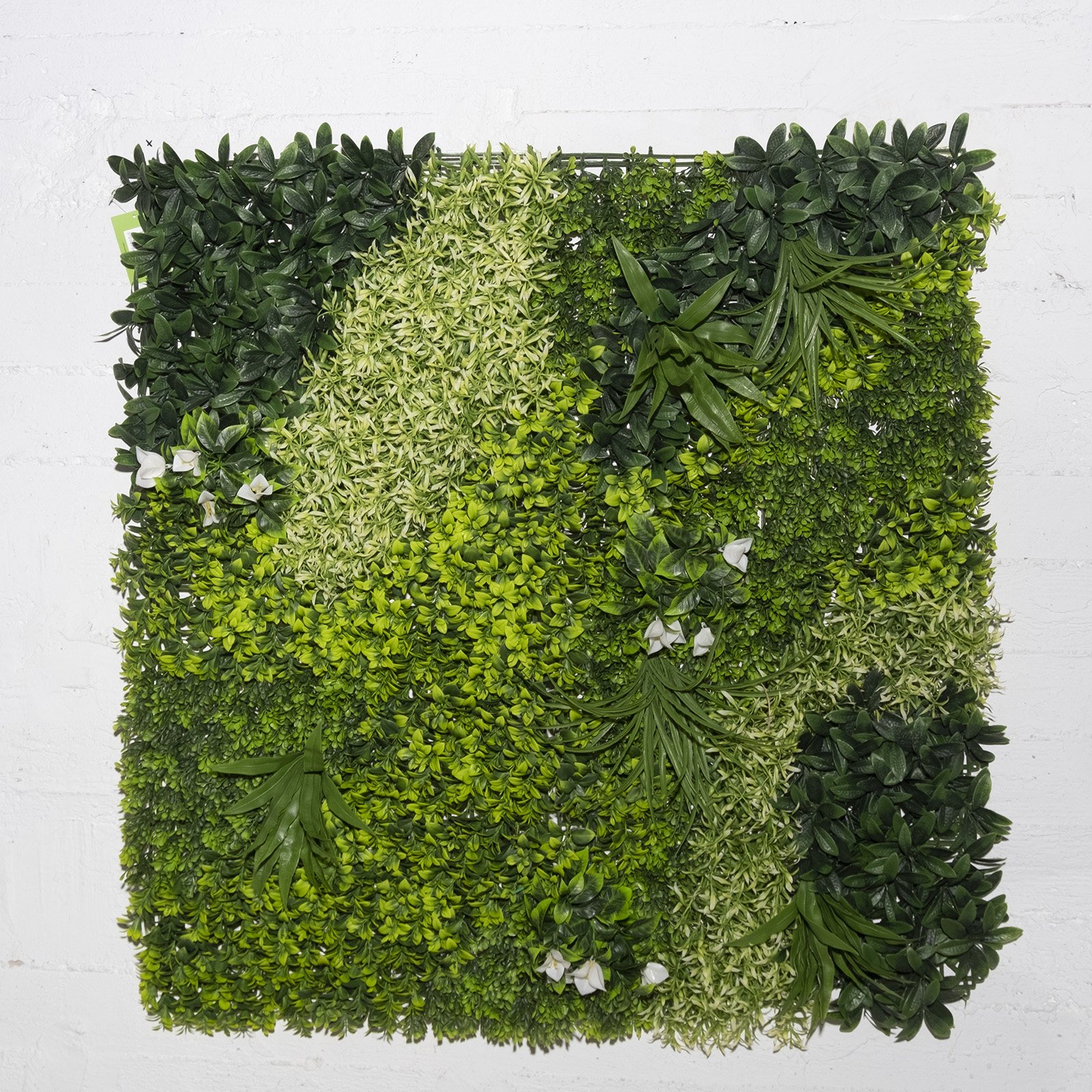 Supergreens Τεχνητή Φυλλωσιά Moss Τρίχρωμη 100x100 εκ. Supergreens Τεχνητή Φυλλωσιά Moss Τρίχρωμη 100x100 εκ.