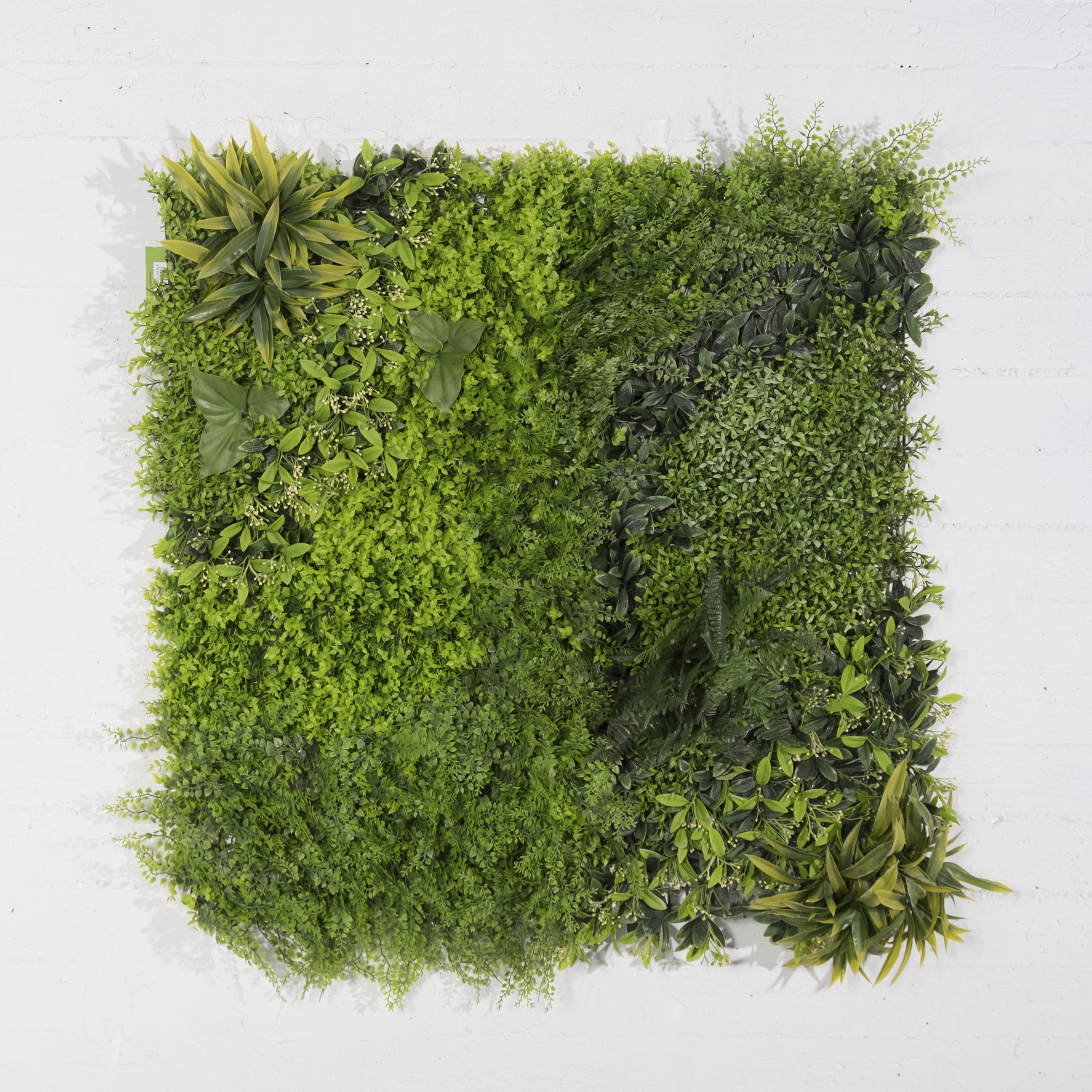 Supergreens Τεχνητή Φυλλωσιά Φτέρη με Baby Tooth Moss 100x100 εκ. Supergreens Τεχνητή Φυλλωσιά Φτέρη με Baby Tooth Moss 100x100 εκ.