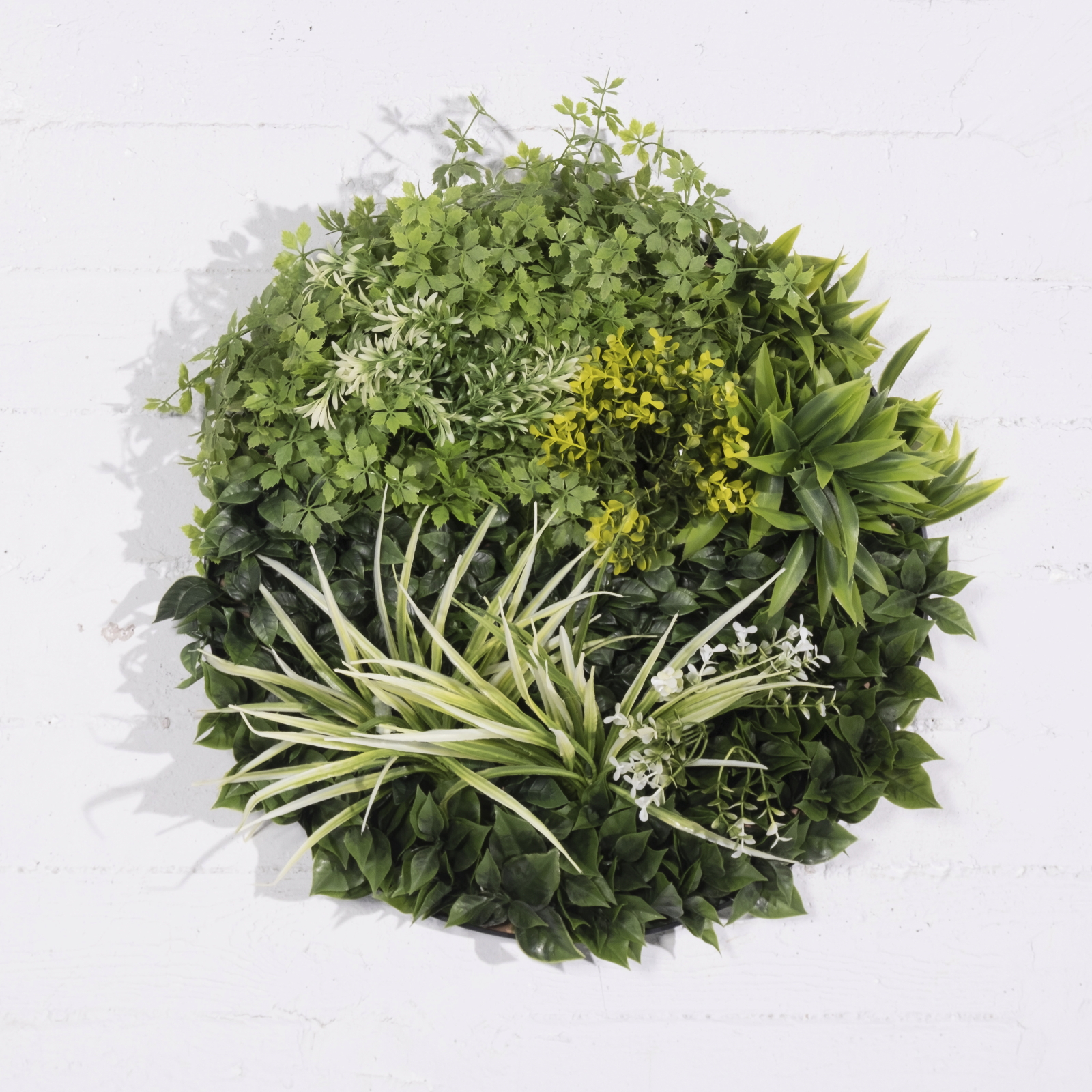 Supergreens Τεχνητή Φυλλωσιά Κάλαμος με Moss D:50 εκ. Supergreens Τεχνητή Φυλλωσιά Κάλαμος με Moss D:50 εκ.
