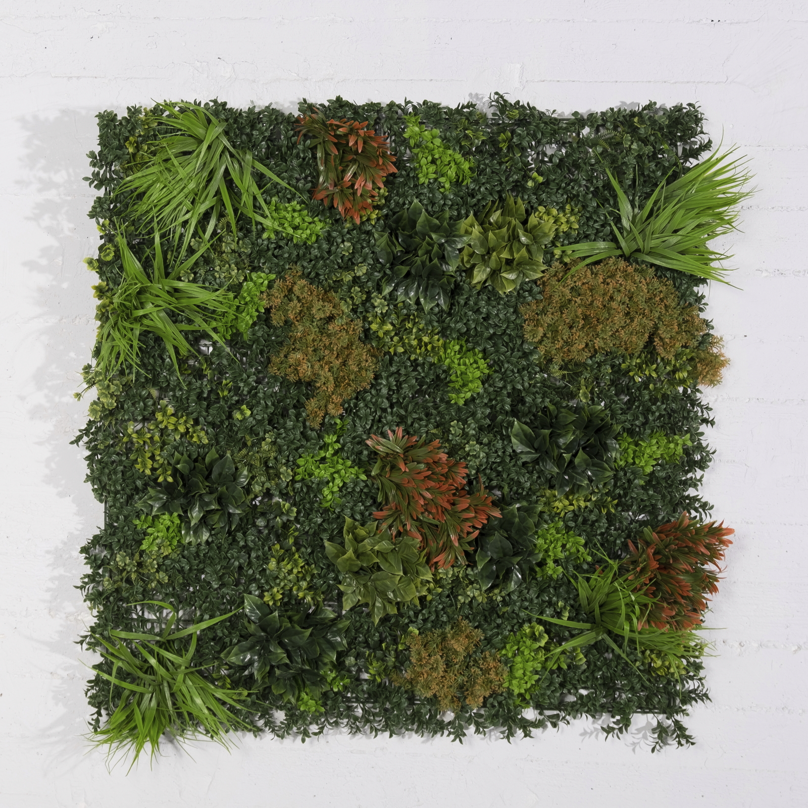 Supergreens Τεχνητή Φυλλωσιά Πυξάρι με Moss Supergreens Τεχνητή Φυλλωσιά Πυξάρι με Moss