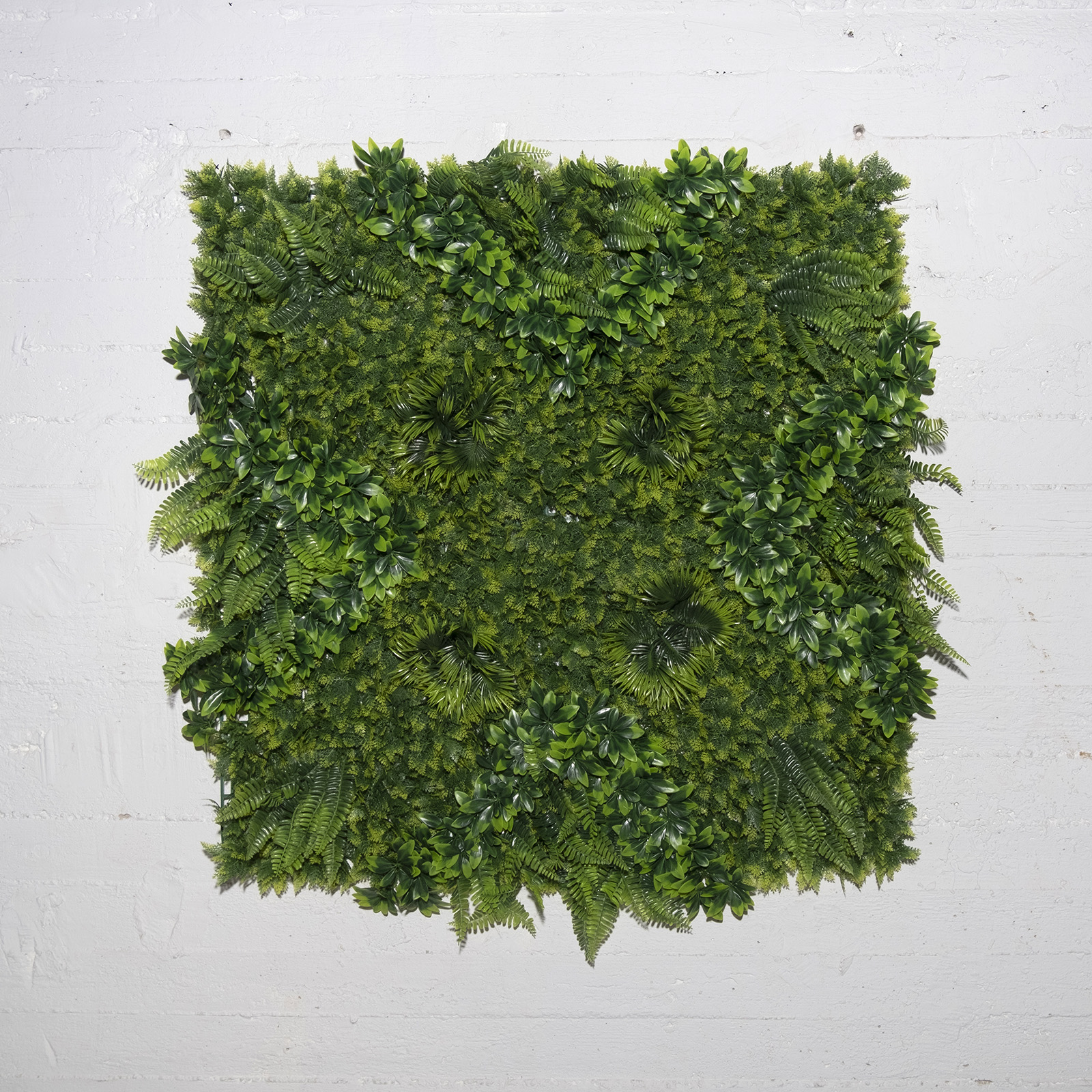 Supergreens Τεχνητή Φυλλωσιά Φτέρη με Φίκο Supergreens Τεχνητή Φυλλωσιά Φτέρη με Φίκο